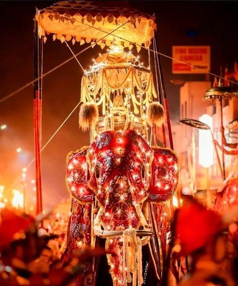 The Festival of the Tooth, also known as the Kandy Esala Perahera (the Sri Dalada Perahara procession of Kandy), is a festival held in Kandy, Sri Lanka, between July and August. This historic procession takes place every year to pay reverence to the Buddha's Sacred Tooth Relic, which is kept at the Sri Dalada Maligawa in Kandy. The parade includes traditional local dances such as fire dances and whip-dance outfits, making it a one-of-a-kind icon of Sri Lanka. Kandy Esala Perahera, Dalada Perahara, Kandy Perahara, Full Moon Day, Historical Temples, Kandy Sri Lanka, Moon Day, Traditional Rose, Traditional Roses