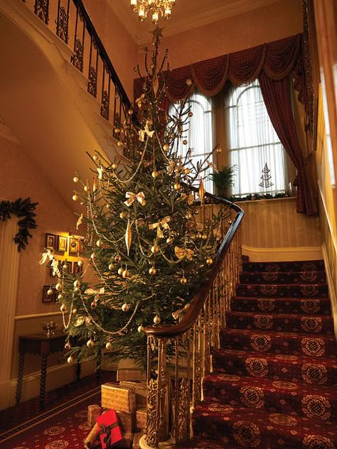 Beautiful Christmas  http://weathertightroofinginc.com  #roofer #roofing #rooferhemet #roofrepair #localroofer #reroof #hemet #roofersanjacinto #roofermenifee #christmas #christmasstuff Cristhmas Tree, Jessie Willcox Smith, Front Stairs, Christmas Staircase, Prim Christmas, O Christmas Tree, Classy Christmas, Oh Christmas Tree, Old Fashioned Christmas