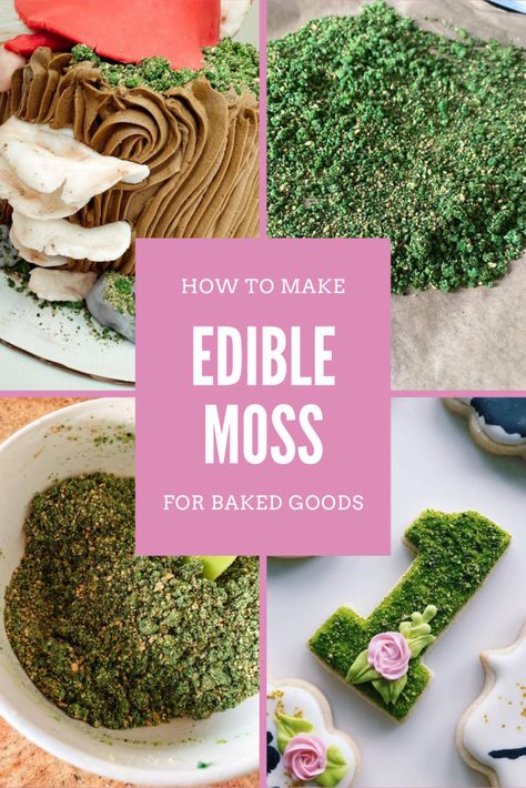 Have you ever seen “moss” on baked goodies and wondered “how in the world did they do that?!” Let me teach you with this easy tutorial! #bakinghacks #cakedecorating #cookiedecorating #gnome #gnomecake Edible Moss For Cakes, Edible Moss, Mushroom Cake, Birthday Cookie, Gateaux Cake, Cookie Frosting, Baked Goodies, Fairy Birthday, Snacks Für Party