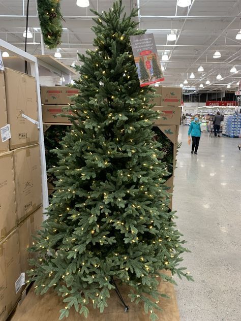 7.5 Foot Christmas Tree, 7 Foot Christmas Tree, 7.5 Ft Christmas Tree, Costco Christmas Tree, 10 Ft Christmas Tree, 15 Ft Christmas Tree, 6 Foot Christmas Tree, 7 Ft Christmas Tree, Costco Christmas