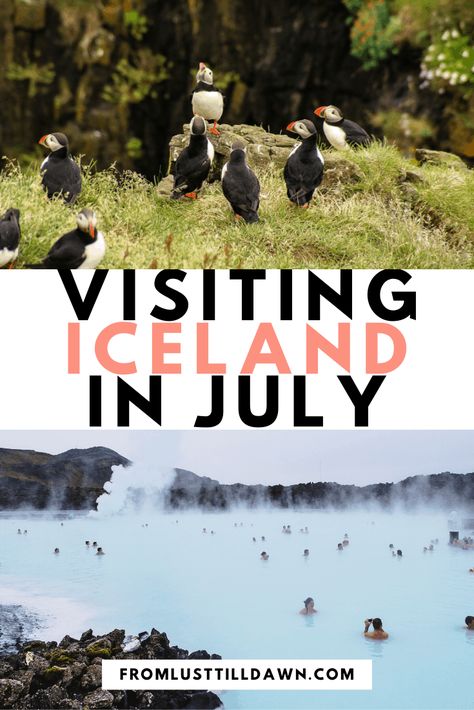 Iceland In July, Iceland Packing, Iceland Summer, Iceland Vacation, Iceland Travel Guide, Iceland Travel Tips, Trip To Iceland, Iceland Itinerary, Scandinavia Travel