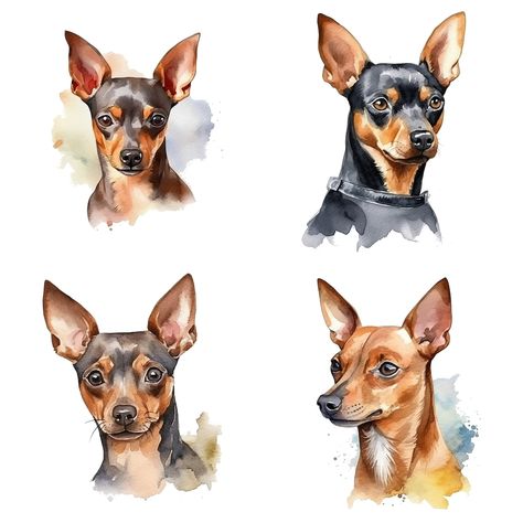 Miniature Pinscher Art, Min Pin Dogs, Pincher Dog, Painted Bible, Mini Pinscher, Min Pins, Toys Art, Min Pin, Miniature Pinscher