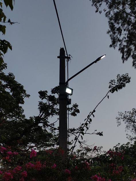 evening street light photography pink flowers the sky pretty Street Light Photography, Sky Pretty, Indian Street, Click Photo, Street Light, Picture Light, Light Photography, Mumbai, The Sky