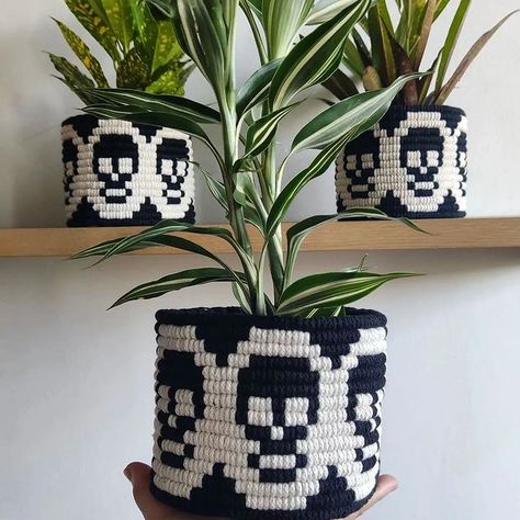 ✨ New tutorial! ✨ New Zig Zag Pattern available on my YouTube Channel now! (Link in bio) Enjoy! 😊 Happy Wednesday! Material: 5mm 3 Ply… | Instagram Install Floating Shelves, Macrame Plant Pot, Skull Pot, Gothic Wall Decor, Indoor Plant Wall, Hanging Plant Wall, Skull Pumpkin, Plant Pot Covers, Pot Cover