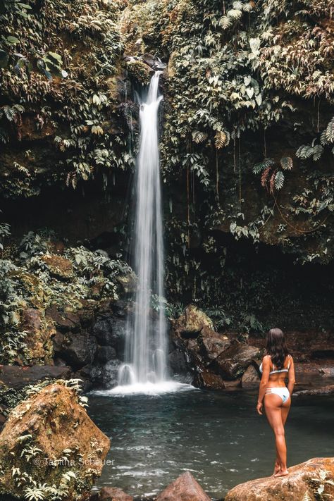 Top 20 Things To Do in Dominica, Caribbean Natural Hot Springs, Family Hiking, Best Snorkeling, Indian River, Rain Forest, Honeymoon Destinations, Enjoying The Sun, Caribbean Sea, Small Island