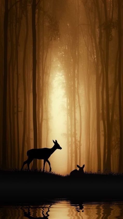 Silhouette Arte, Wild Animals Photography, Sepia Photography, Ayat Alkitab, Animal Silhouette, Love Is, Silhouette Art, Wild Life, Animal Quotes