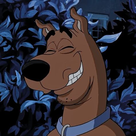 Scooby Doo Aesthetic, Aesthetic Profile, Cartoon Dog, Profile Pictures, Scooby Doo, Mist, I Hope