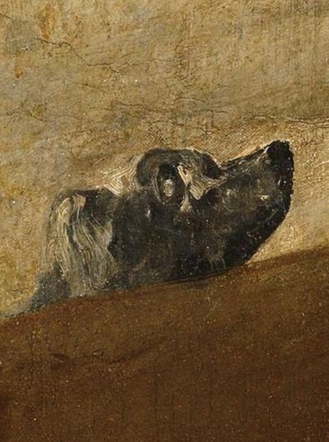 Close up of "The Dog" by Francisco Goya Goya Paintings, Prado Museum, Dog Motif, Francisco Goya, Spanish Painters, Murals Street Art, Poster Size Prints, Painting Wallpaper, Mural Painting