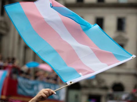 At least 18 transgender people have been killed this year in what experts are calling an 'epidemic' Transgender Day Of Visibility, Transgender Flag, Trans Flag, Parental Rights, Trans Rights, Gender Identity, Livingston, What’s Going On, Idaho