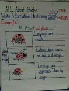 lucy calkins informational writing first grade - Google Search Informational Books, Writing Informational Text, Writers Workshop Kindergarten, Lucy Calkins Writing, Bee Project, Lucy Calkins, Kindergarten Anchor Charts, Informative Writing, Interactive Writing