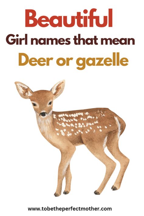 Girl names that mean deer, fawn and gazelle Deer Names, Deer Puns, Japanese Female Names, Strong Girl Names, Hebrew Girl Names, Pun Names, Female Deer, Life Recently