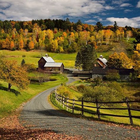 Fall Foliage Bright Fall leaves around Sleepy Hollow Farm on Cloudland Road Woodstock Vermont Interactive Art Installation, Scenic Railroads, Beautiful Places To Live, New England Fall, Places To Live, Coast To Coast, Fall Foliage, Most Beautiful Places, Small Town