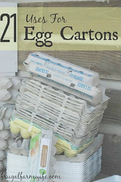 Egg Carton Uses, Micro Greens, Chicken Owner, Egg Container, Farm Wife, Eat A Lot, Egg Cartons, Egg Crates, Egg Carton Crafts