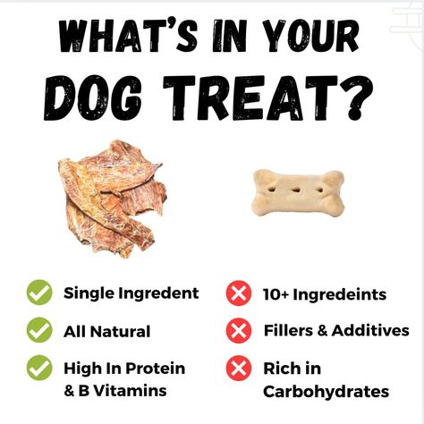 What’s really in your dog’s treat? 🐾 Our Chicken Jerky is made with just ONE ingredient—100% air-dried chicken breast. No fillers, no additives, no nonsense. Just pure, natural protein packed with essential B vitamins to keep your pup happy and healthy! 🐔✨ Skip the treats with long ingredient lists, fillers, and unnecessary carbs. Give your dog a treat you can trust, with simple, clean ingredients that make a real difference. 👉 Shop now at headtotailfoods.com #SingleIngredientTreats #Heal... Chicken Jerky, Natural Protein, B Vitamins, Treat You, Protein Pack, Happy And Healthy, Clean Ingredients, Vitamin B, Jerky