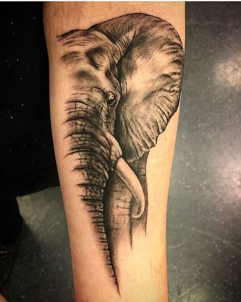 Elephant Tattoos Men Leg, Exotic Animals Art, Harley Tattoos, Tattoos 2024, Back Tattoos For Guys, Arm Band Tattoo, Elephant Tattoo, Side Tattoos, Elephant Tattoos