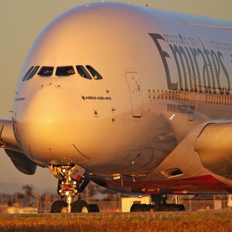 Airbus A380 Emirates, Emirates Airbus, Emirates A380, Emirates Airlines, Pilot Quotes, Emirates Airline, Expo 2020, Airbus A380, Flight Crew