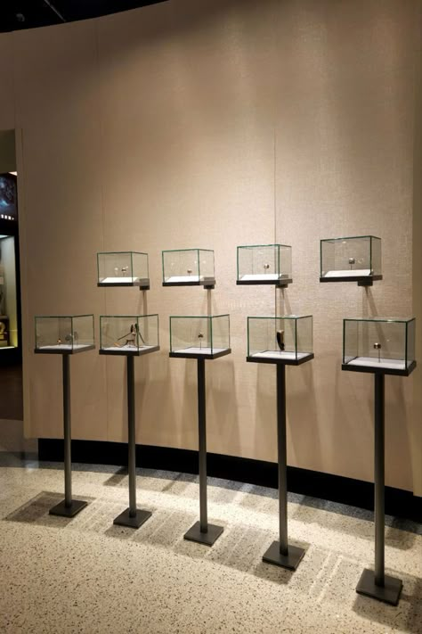 Custom Museum Display Case designed by Zone Display Cases for the Green Bay Packers Hall of Fame Artifacts Display Ideas, Glass Display Cabinet With Lights, Museum Artifacts Display, Museum Glass Display, Museum Display Ideas, Museum Display Design, Art Museum Display, Residential Lighting Design, Sculpture Display