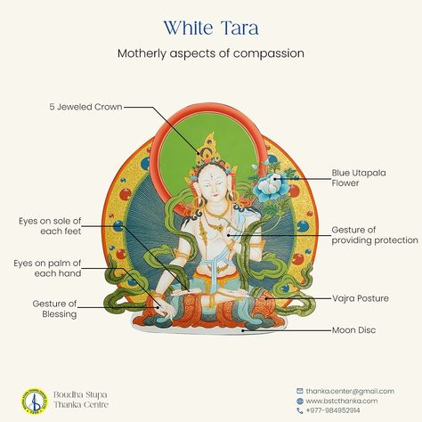 White Tara, embodiment of purity and compassion, illuminates the path with her gentle wisdom and boundless love. 💖 White Tara, also known as "Saptalocana" for her seven eyes - one on her forehead, two regular eyes, two on each palm of her hand and two on the sole of each foot - holds profound significance in Buddhism. Revered as the epitome of compassion and purity, she symbolizes maternal love and healing. With her compassionate gaze, she perceives the suffering of all beings, offering guid... Tara Goddess, Buddhist Mantra, Love And Healing, White Tara, Buddhist Symbols, Eagle Pictures, Buddhist Traditions, Thangka Painting, Tibetan Art