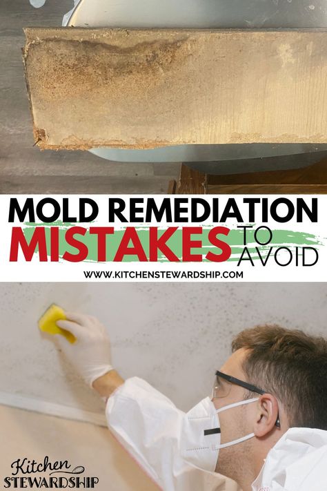 Don’t make these home mold remediation mistakes. Learn what to do instead during your mold remediation process. Mold Remediation Diy, House Mold, Toxic Mold, Plywood Floor, Mold Remediation, Winter Comfort Food, House Updates, Mold Growth, Fall Soups