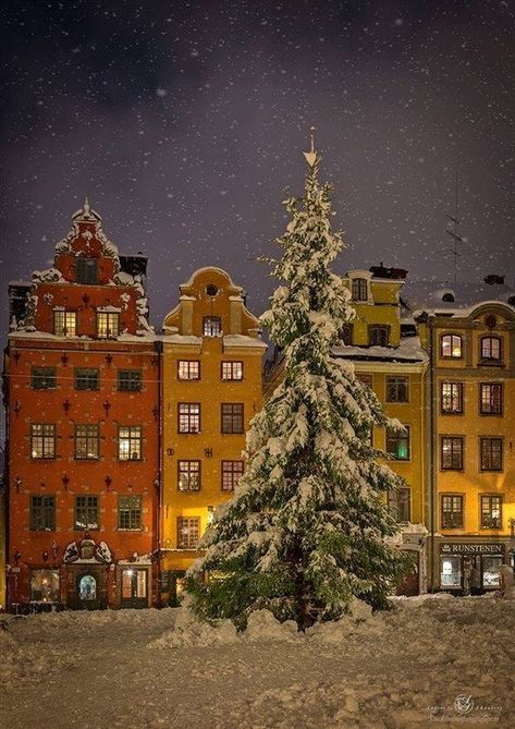 Stockholm Winter, Yule Tide, Sweden Travel, Travel Images, Winter Wonder, Stockholm Sweden, Winter Is Coming, Nouvel An, Winter Time