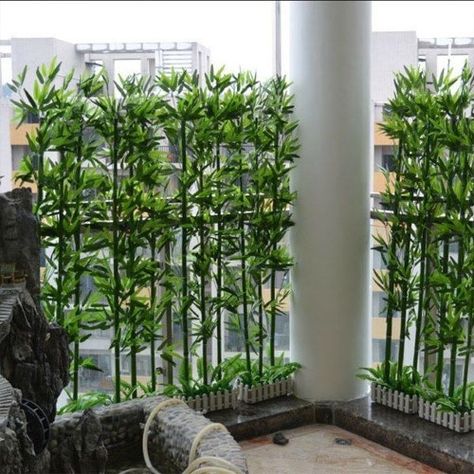 Balcony Privacy Plants, Condo Balcony Ideas, Balcony Privacy Ideas, Bamboo Trees, Condo Balcony, Balcony Privacy Screen, Balcony Garden Ideas, Apartment Balcony Garden, Balkon Decor