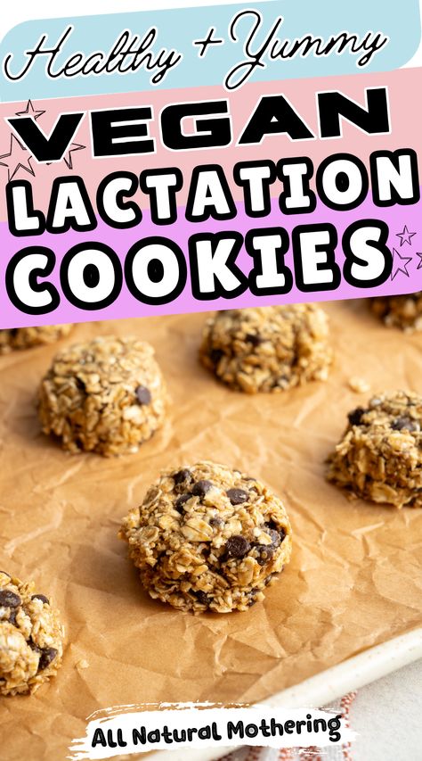 The best recipe for healthy dairy free lactation cookies. These vegan lactation cookies are so tasty, great to increase milk supply fast, and easy to make. Simple lactose free breastfeeding cookie recipe to increase breastmilk supply. Dairy Free Lactation Recipes, Breastmilk Cookies, Dairy Free Lactation Cookies, Increase Milk Supply Fast, Breastfeeding Cookies, Healthy Lactation Cookies, Increase Breastmilk Supply, Lactation Cookies Recipe, Oatmeal Chocolate Chip Cookie Recipe