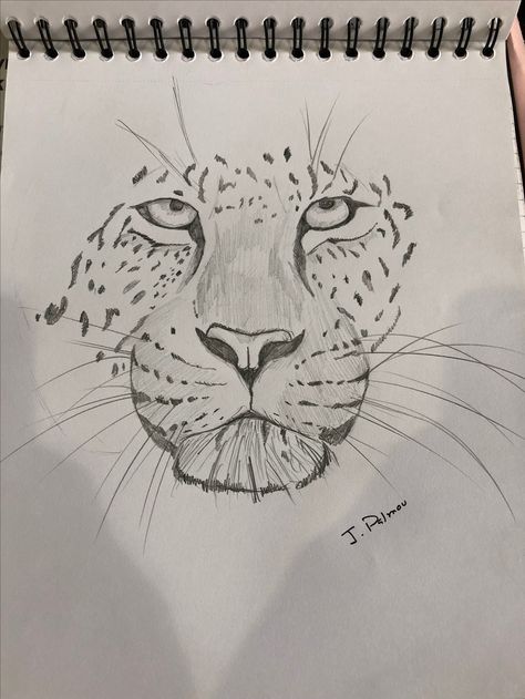 Lion Nose Drawing, Leapord Drawings, Leopard Drawing Easy, Snow Leopard Drawing Sketch Easy, Jaguar Drawing Sketches, Amur Leopard Drawing, Cheetah Drawing Sketches, Cheetah Pencil Drawing, Leopard Sketch