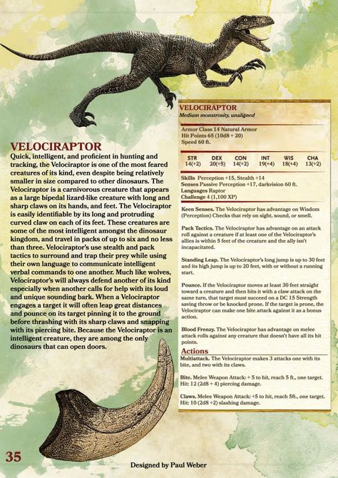 Velociraptor Dnd Stats, Wild Shape, Dnd Races, Dungeons And Dragons 5e, Dnd 5e Homebrew, Dnd Dragons, D D Monsters, Forgotten Realms, Dnd Monsters