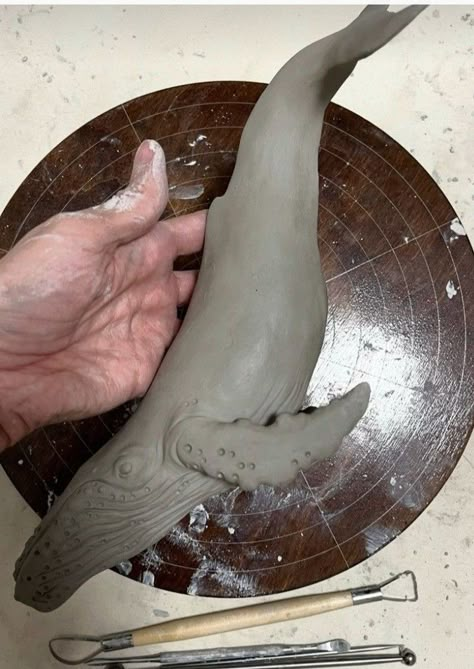 Sculpture Art Clay, Organic Ceramics, Whale Art, Pottery Painting Designs, Fish Sculpture, Diy Pottery, Ceramics Pottery Art, Ceramic Animals, Clay Art Projects