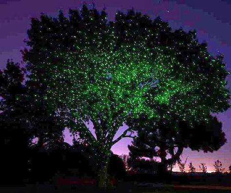 Create a magical night time environment with the illuminating laser light. The light installs in about 5 minutes and transforms your tree into a heavenly... Laser Lights Projector, Outdoor Tree Lighting, Outdoor Trees, Laser Light, Green Laser, I'm Broke, Outdoor Holidays, Laser Lights, Tree Lighting