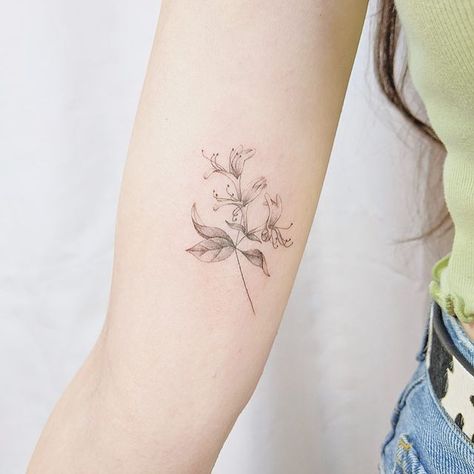 Hummingbird Tattoo With Honeysuckle, Honeysuckle And Poppy Tattoo, Honeysuckle Arm Tattoo, Hummingbird Honeysuckle Tattoo, Dainty Honeysuckle Tattoo, Honeysuckle Fine Line Tattoo, Aries Honeysuckle Tattoo, June Honeysuckle Tattoo, Fine Line Honeysuckle Tattoo