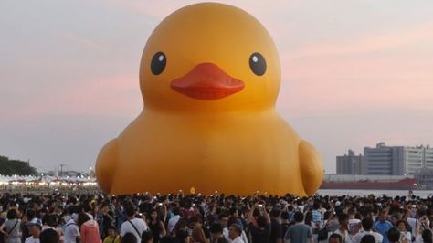 People gather to see a giant Rubber Duck by Dutch conceptual artist Florentijin Hofman at Glory Pier on September 19, 2013 in Kaohsiung, Taiwan Duck Wallpaper, Duck Pins, Conceptual Artist, Giant Inflatable, Kaohsiung, Yellow Duck, Rubber Ducky, Employee Engagement, Tall Ships