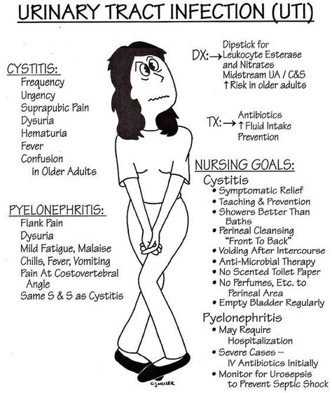 Nursing School Studying Cheat Sheets, Nursing Instructor, Medical Assistant Student, Paramedic School, Nursing School Essential, Nurse Study Notes, Nursing Mnemonics, Nursing Student Tips, Medical Student Study