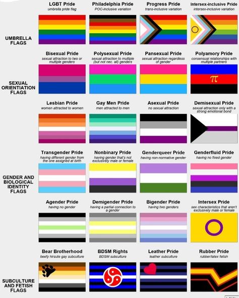 Here's a guide to pride flags! What Do All The Pride Flags Mean, Different Pride Flag Meanings, Pride Flags Sexuality, What Do Different Pride Flags Mean, Pride Flag Guide, Flag Meanings Pride, Lbgtq Colors Flag, Lgbtqia+ Flags And Meanings, How To Make A Pride Flag