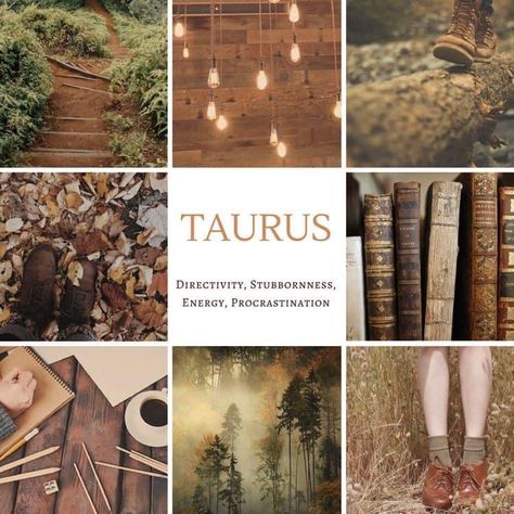 Taurus Witch Aesthetic, Taurus Art, Nature Witch, Astrology Taurus, Goofy Drawing, Taurus Woman, Zodiac Signs Taurus, Astrology Art, Taurus Facts