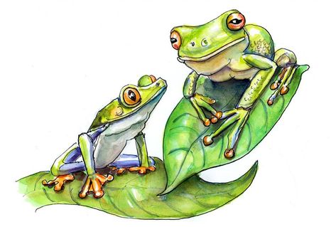 Frog Realistic, Frog Sketches, Frog Drawing Ideas, Cute Frog Drawing, Draw A Frog, Contour Line Drawing, Frog Drawing, Realistic Drawing, Colour Art