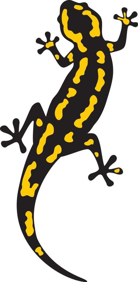 Fire Salamander Animal Color. Vector Illustration. Salamander Drawing, Salamander Elemental, Salamander Illustration, Fantasy Salamander Art, Fire Salamander Art, Fantasy Salamander, Fire Salamander, Fire Salamander Fantasy Art, Salamanders