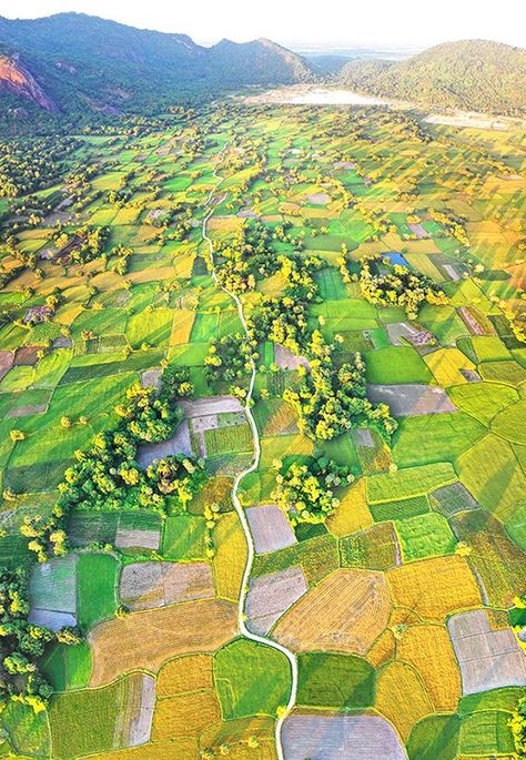 Golden Meadow, Vietnam Holidays, View From Above, Art Nouveau Illustration, Vietnam Tours, Can Tho, Mountain Wallpaper, Forest Illustration, Landscape Drawings