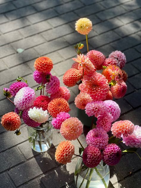 Dahlia Wedding Decoration, All Dahlia Bouquet, Bright Dahlia Wedding Bouquets, Dahlia And Zinnia Bouquet, Wedding Dahlias, Dahlia Centerpiece Wedding, Whimsical Dahlia Bouquet, September Wedding Flowers, Dahlias Wedding