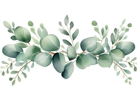 Eucalyptus Border Design, Eucalyptus Border, Greenery Template, Violet Tattoo, Leaves Border, Wedding Chalkboard Signs, Baby Shower Theme Decorations, Australian Flowers, Best Graphic Design