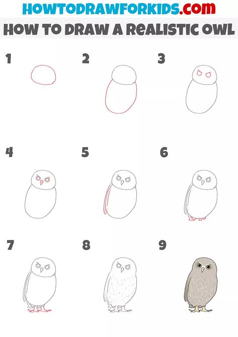 How to Draw a Realistic Owl - Easy Drawing Tutorial For Kids