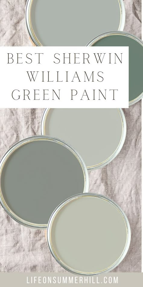 Sage Basement Walls, Valspar Gray Green Paint Colors, Sw Clary Sage Coordinating Colors, Irish Garden Paint Color, Silver Tipped Sage Sherwin Williams, Silvery Sage Paint Color, Beach Green Paint Colors, Sherwin Williams Mint Green Paint Colors, Muted Green Accent Wall