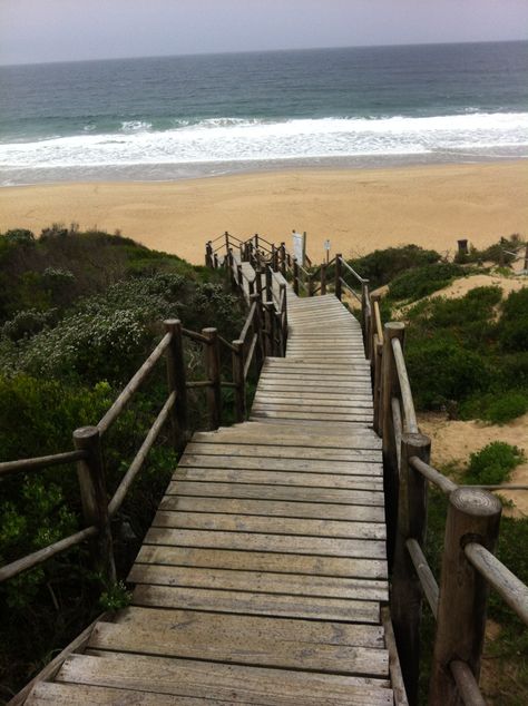 Robberg, Plettenberg Bay South Africa Plettenberg Bay South Africa, Catfish Girl, Plettenberg Bay, Forest Canopy, Tomorrow Is Another Day, Bungee Jumping, Magical Places, New Wall, Where The Heart Is