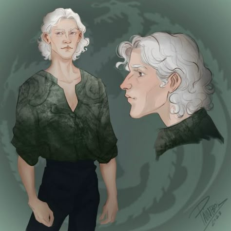 daeron ✨the gentlest✨ Daeron Targaryen, Targaryen Art, Asoiaf Art, Game Of Thrones Art, House Targaryen, Game Of Thrones Houses, Royal House, House Of Dragons, Art Memes