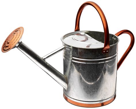 Gardman 8330 Galvanized Watering Can with Copper Accents,  1.9 Gallon // $23 Plant Watering Can, Watering Cans, Fall Front Porch, Copper Accents, Robust Design, Lawn And Garden, Watering Can, Garden Supplies, Pest Control