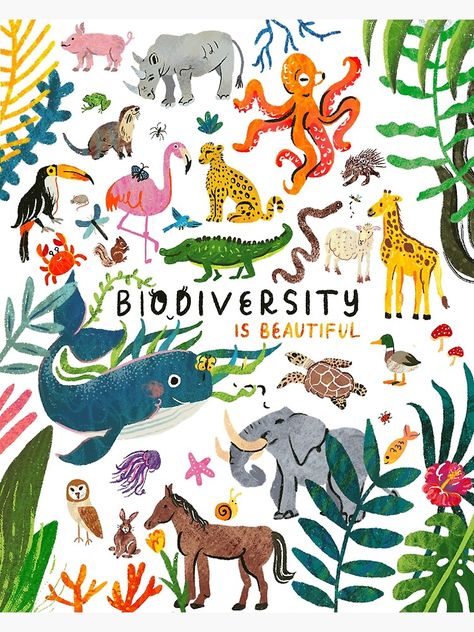 "Biodiversity is Beautiful" Poster by annakorol | Redbubble Save Animals Poster, Earth Day Drawing, Diversity Poster, Biodiversity Conservation, Instagram Projects, Only Aesthetic, Poster Drawing, Creative Poster Design, Animal Posters