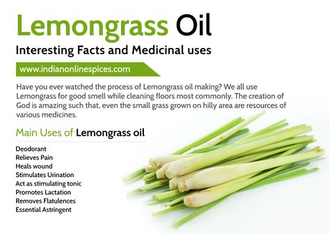 Have you ever watched the process of Lemongrass oil making? We all use Lemongrass for good smell while cleaning floors most commonly. The creation of God is amazing such that, even the small grass grown on hilly area are resources of various medicines.  Read more- https://indianonlinespices.com/lemongrass-oil-interesting-facts-and-medicinal-uses/  #lemongrass #lemon_grass_oil #aromas Lemon Grass Oil Diy, Lemongrass Body Oil, Lemon Grass Uses, Handmade Lotion, Cleaning Floors, Homemade Air Freshener, Lemon Uses, Medicinal Herbs Garden, Oil Making