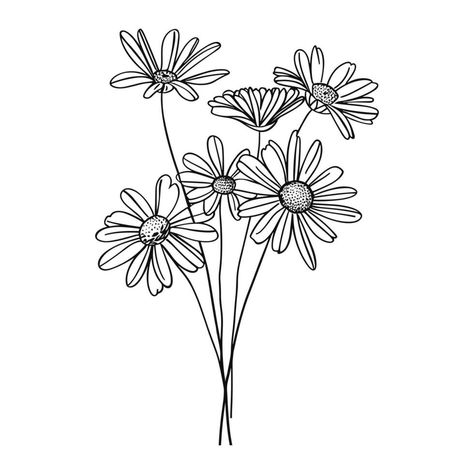 Outline bouquet chamomile or daisy flowers on stem and leaves. Hand drawn sketch isolated on white background Daisy Flower Outline, Daisy Outline, Bouquet Tattoo, Daisy Bouquet, Flower Outline, Hand Drawn Vector, Logo Banners, Cityscape Photos, Nature Backgrounds