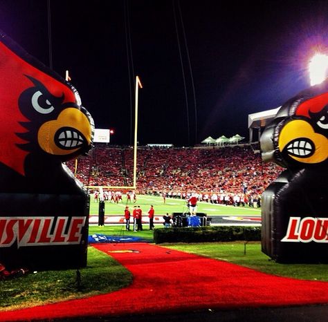 University of Louisville , KY----Love to cheer for multiple sports! Football games are so much fun!! Louisville Football, College Lifestyle, College Vision Board, College Cheer, University Of Louisville, College Aesthetic, Dream College, Football Love, My Old Kentucky Home