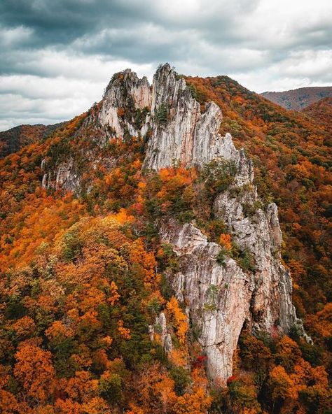 Painting Reference Photos, Seneca Rocks, Fall Scenery, Travel Vision Board, Virginia Homes, Autumn Scenery, November 23, Fall Pictures, Blue Ridge